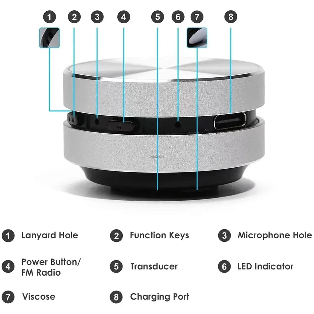 Bone Conduction Bluetooth Compatible Wireless Hummingbird Speaker